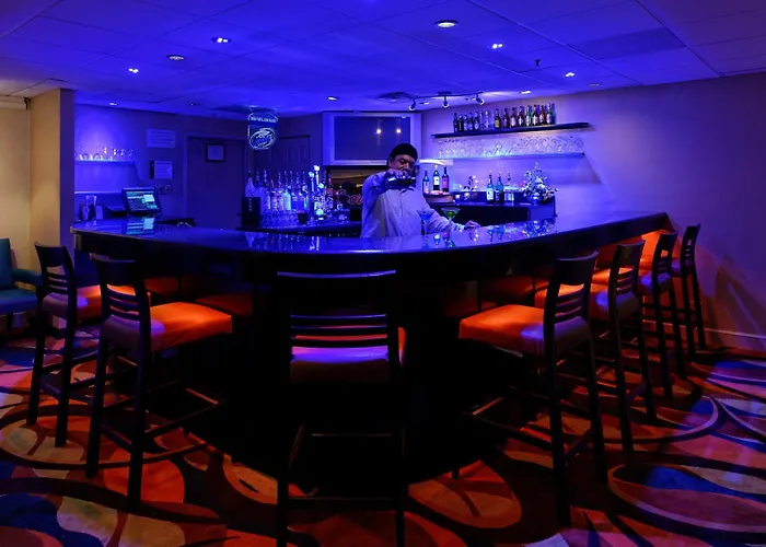 Wyndham Chicago O'hare Hotel 3*