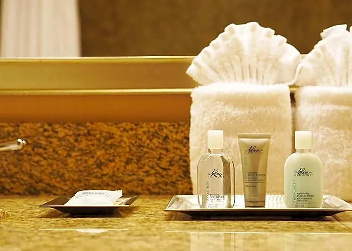 Hotel Wyndham Chicago O'hare 3*